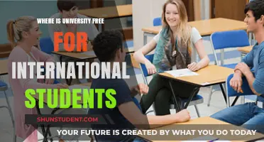 Global Education: Countries Offering Free University for International Students