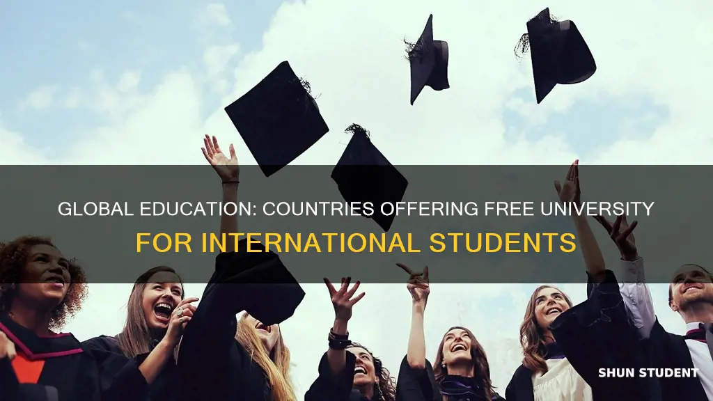 where is university free for international students