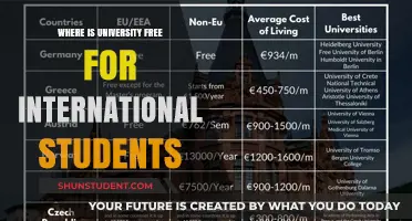 Free University Education for International Students: Where?