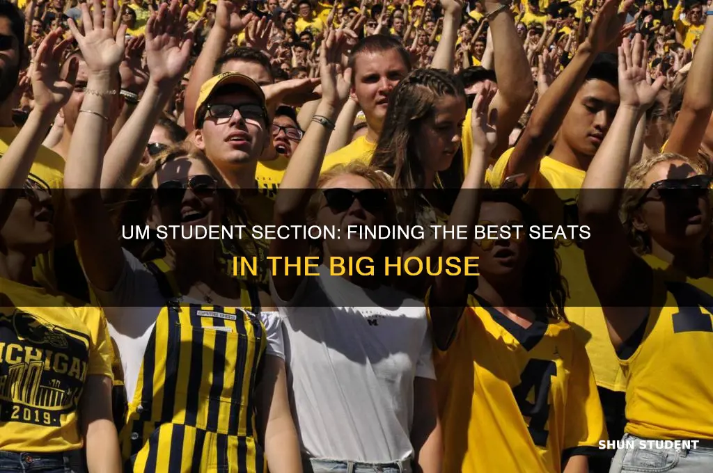 where is university of michigan student section in football stadium