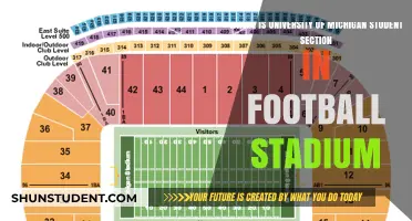 Michigan Stadium Student Section: Where's the Fun?