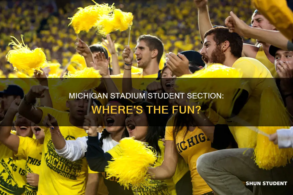 where is university of michigan student section in football stadium