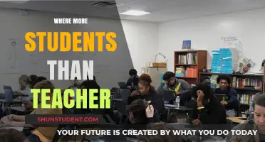 Classroom Overcrowding: Navigating Education Where Students Outnumber Teachers