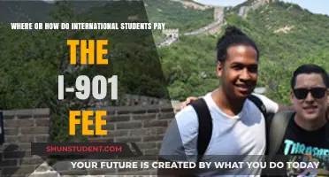 Paying the I-901 Fee: Options for International Students