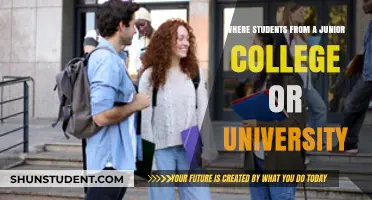 Academic Exploration: Junior College vs. University: A Student's Journey