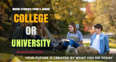 A Student's Guide to College and University Life