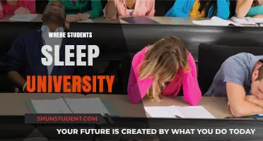 Students' Sleep: University Life and Rest