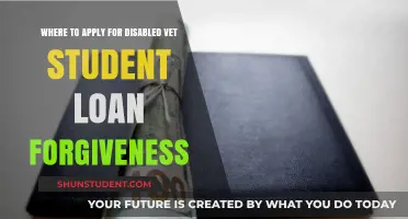 Disabled Vet Student Loan Forgiveness: Top Application Resources Revealed