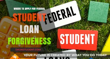 Federal Student Loan Forgiveness: Top Programs and Application Guide