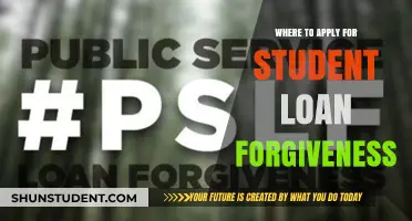 Unlock Student Loan Forgiveness: Top Programs and Application Guide