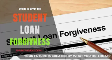 Student Loan Forgiveness: Top Programs and Application Guide