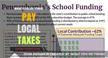College Students: Understanding Local Tax Obligations