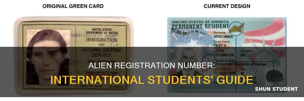 where to find alien registration number international student
