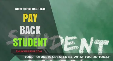 Student Loans: Final Payback Options and Where to Find Them
