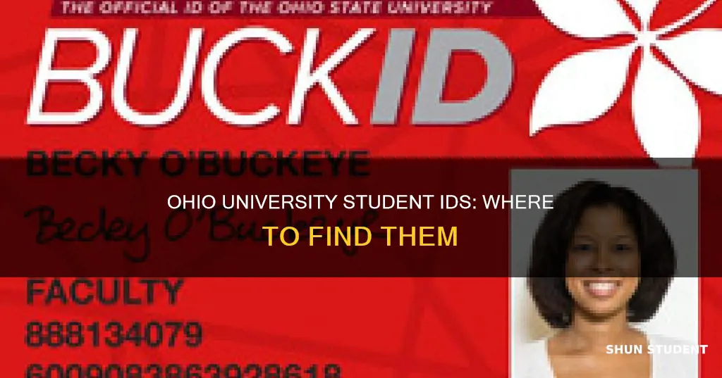 where to find ohio university student id