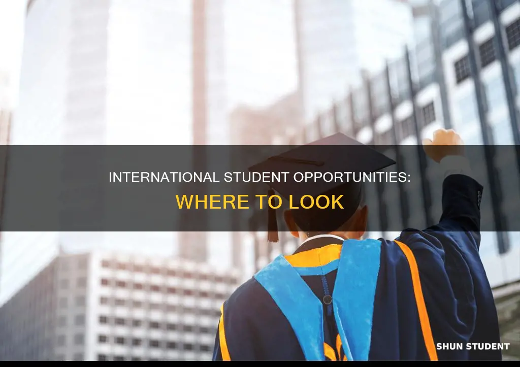 where to find opportunities for international students