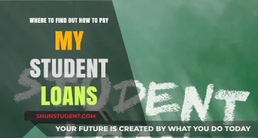 Student Loan Payment Guide: Where to Find Help