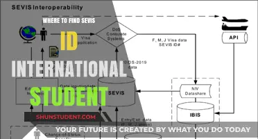 Finding Your SEVIS ID: A Guide for International Students