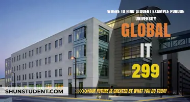 Discovering IT 299 Student Examples at Purdue University Global