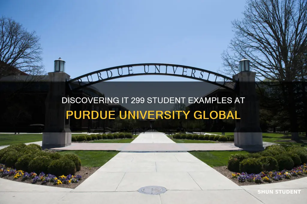 where to find student example purdue university global it 299