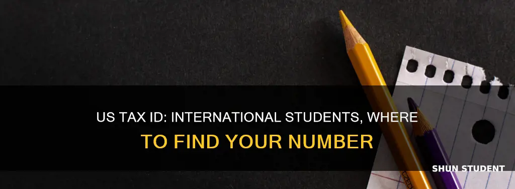 where to find us tax identification number international student