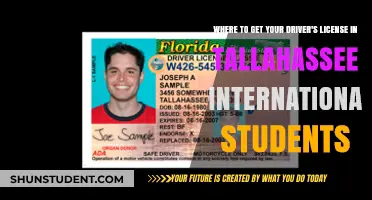 Get Your Driver's License: A Guide for Tallahassee Internationals