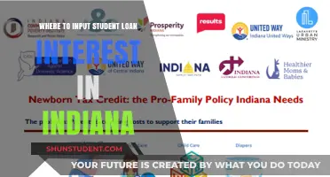 Indiana Student Loan Interest Deduction: Where to Input on Your Taxes