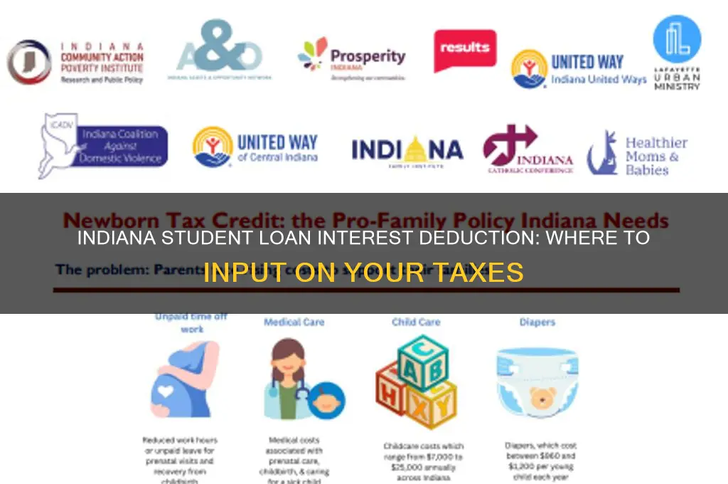where to input student loan interest in indiana