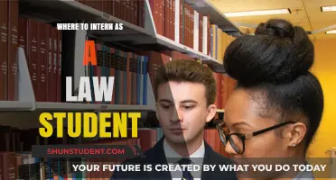 Best Places for Law Students to Intern