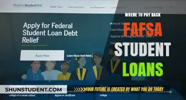 FAFSA Student Loans: Repayment Options and Where to Pay