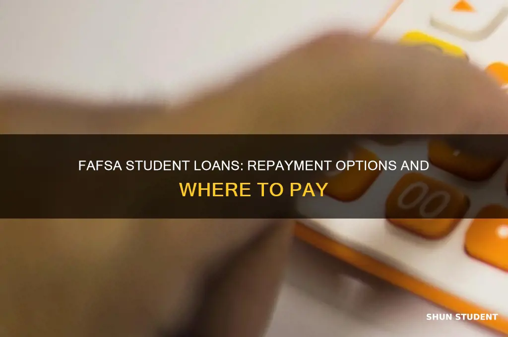 where to pay back fafsa student loans