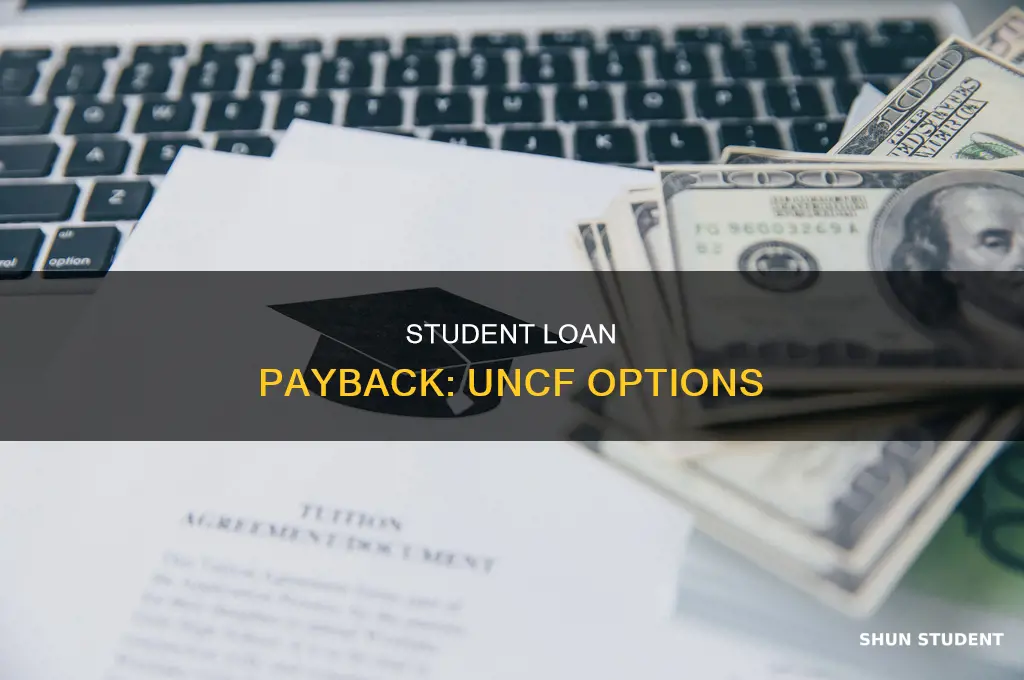 where to pay back student loanns unf
