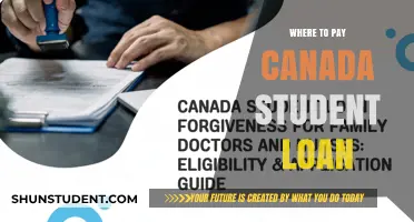Repaying Canadian Student Loans: Where to Start