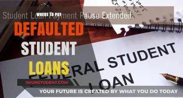 Student Loan Default: Where and How to Pay?
