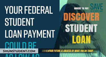 Discover Student Loans: Where and How to Pay