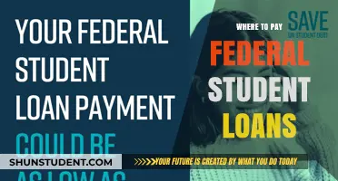 Student Loan Payment: Where to Pay?