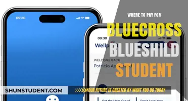 Student Payment Options for BlueCross BlueShield Insurance