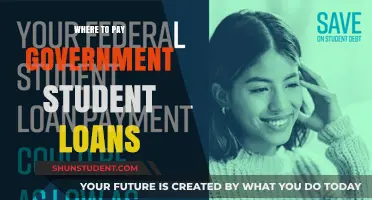 Student Loan Payment Options: Where to Pay Government Loans