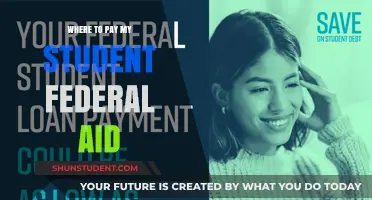 Student Federal Aid: Where and How to Pay?