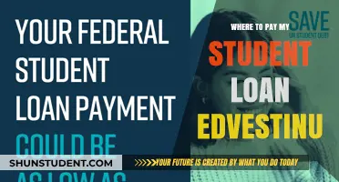 Student Loan Payment Options with Edvestinu
