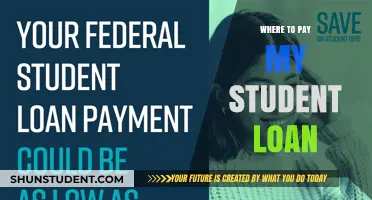 Student Loan Payment Options: Where to Pay