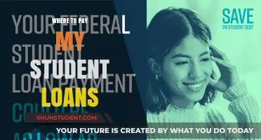 Student Loan Payment: Where to Pay?