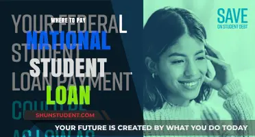 Student Loan Payment Options: Where to Pay