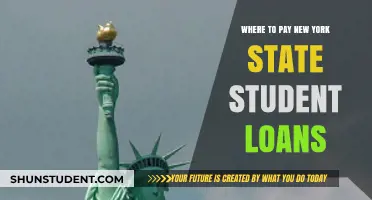 Paying Off New York State Student Loans: Where to Start?