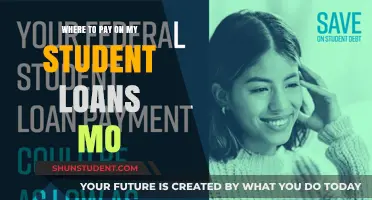 Student Loan Payment Options: Where to Pay?