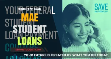 Paying Sallie Mae Student Loans: Where to Start?