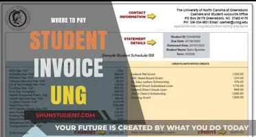 Student Invoices: Where and How to Pay at the University of Guelph