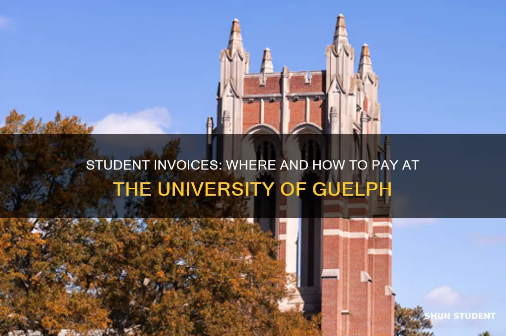 where to pay student invoice ung