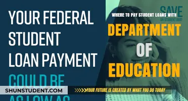 Student Loan Payment Options with the Department of Education