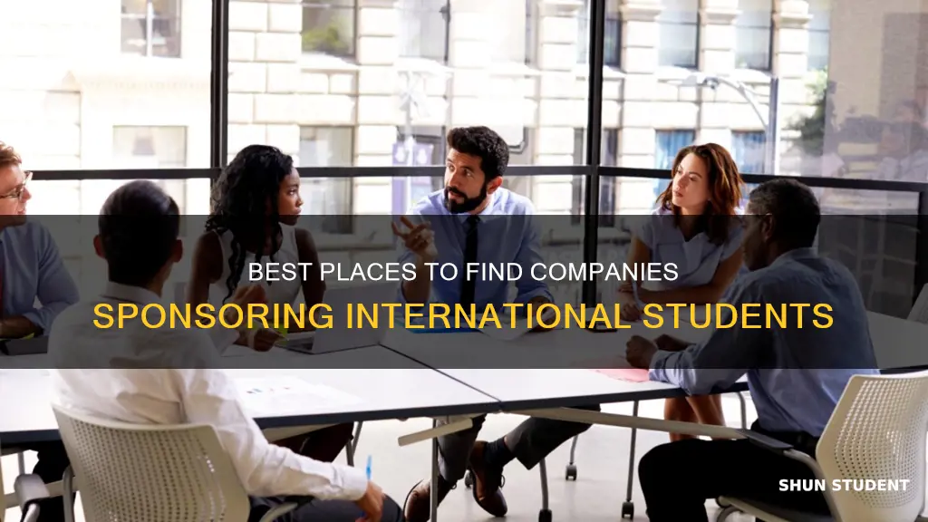 where to search companies that sponsor international students